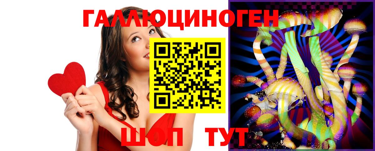 Мыски  где найти   Псилоцибиновые грибы MAGIC MUSHROOMS  Вход с VPN  Псилоцибиновые грибы MAGIC MUSHROOMS 